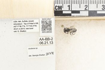 Media type: image;   Entomology 518930 Aspect: Labels